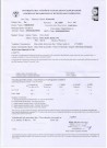 Cerberus Fehér Kócos - Certificate of radiological hip dysplasia examination - HD 0/0